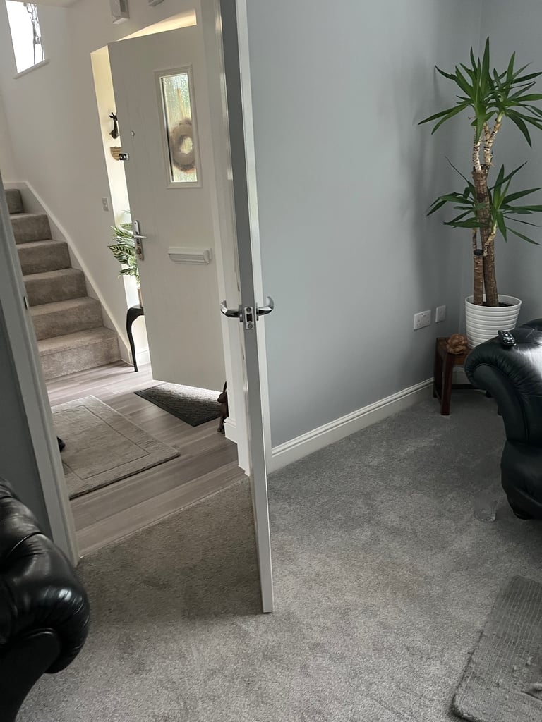 White internal doors 