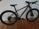 Specialized Rockhopper comp 29 2021