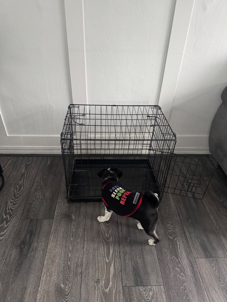 Black Metal Dog Crate Cage Puppy Training Whitefield Manchester