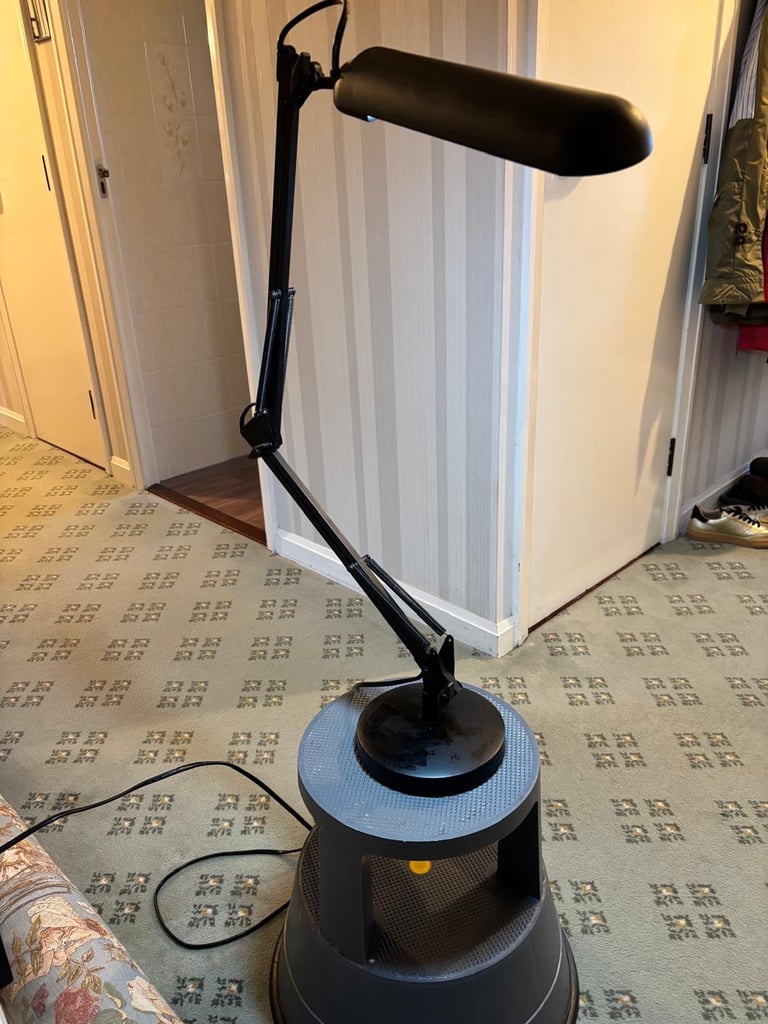 image for Daylight company Anglepoise lamp