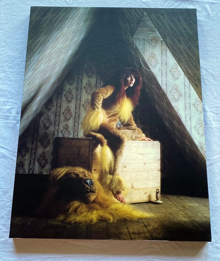 image for KATE BUSH - WOW - PHOTOGRAPHS BY GERED MANKOWITZ