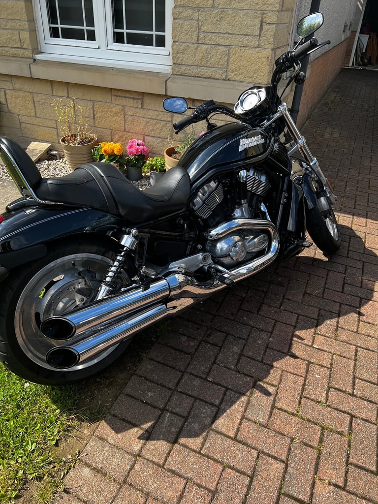 image for Harley-Davidson, VRSCD NIGHT ROD, 2006, 1131 (cc)