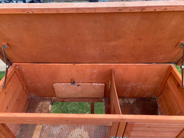 Rabbits - Norwegian Dwarf - With hutch