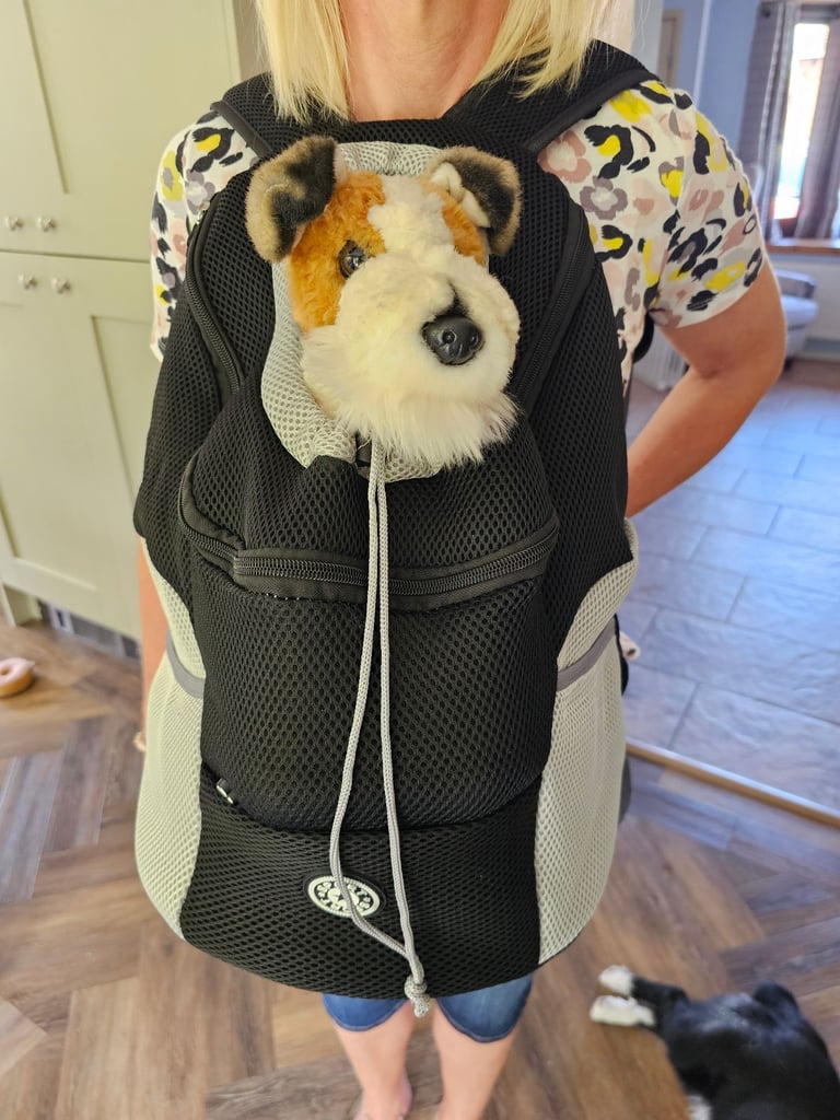 Puppy front carrier 