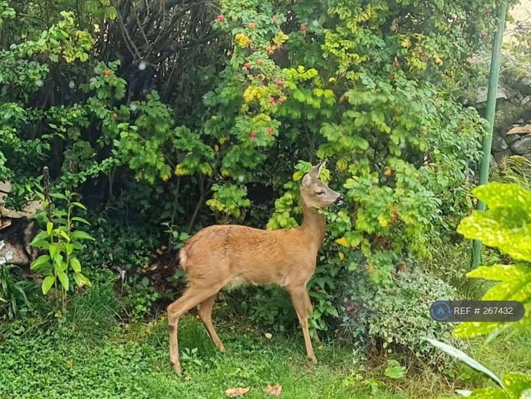 3 bedroom house in Fourwinds, Aberdeen, AB15 (3 bed) (#267432)