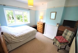 Large double room available NOW !