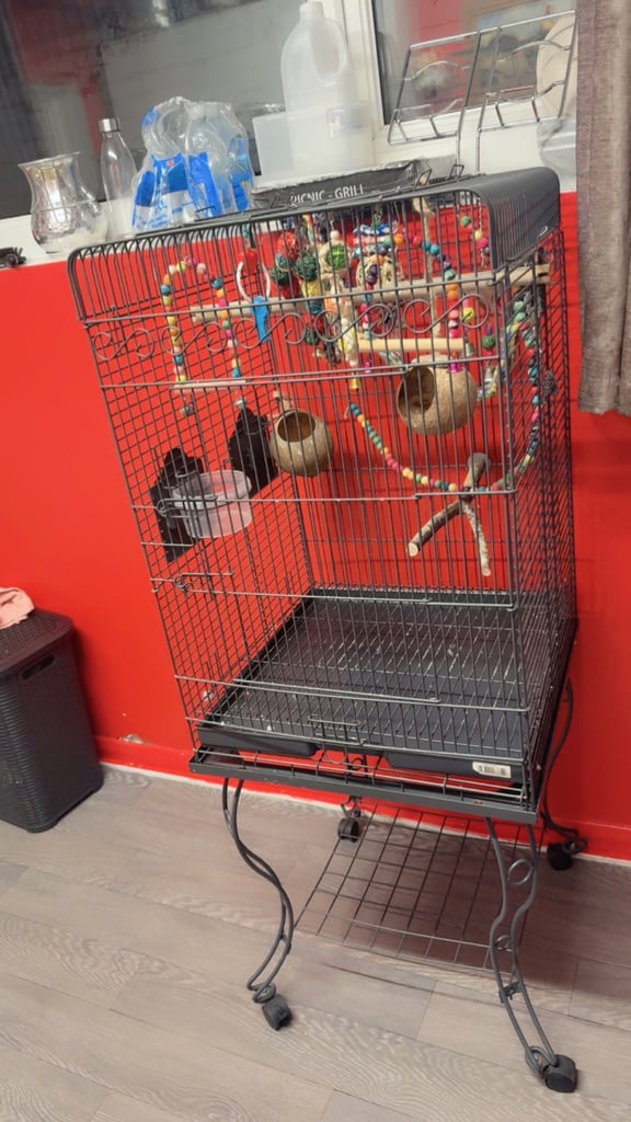 Bird cage accessories 