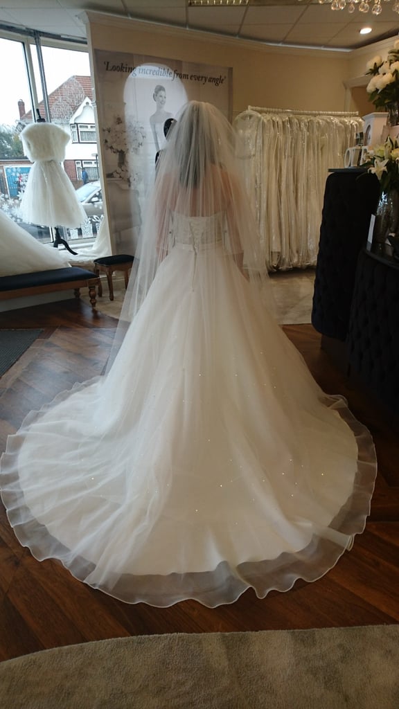 Full length diamanté Bridal Veil 
