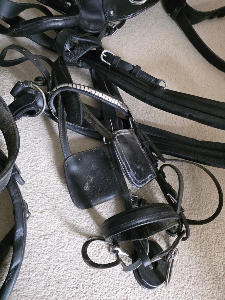 Cob Size Full Black Harness 