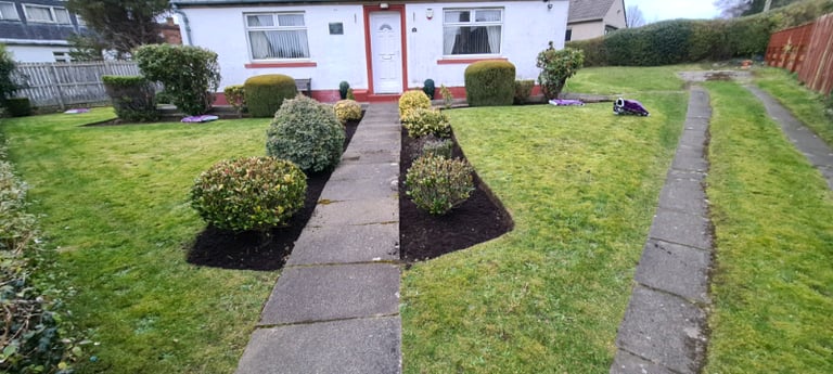 image for All garden services and window cleaning, gutter clean, powerwash, etc 