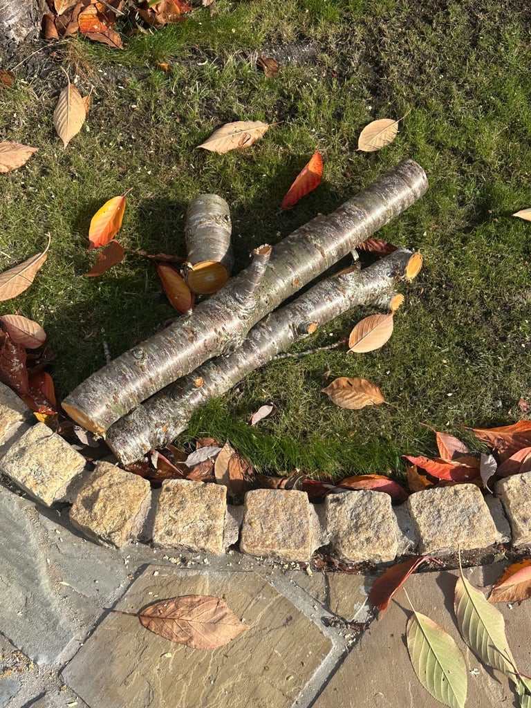 image for Free logs