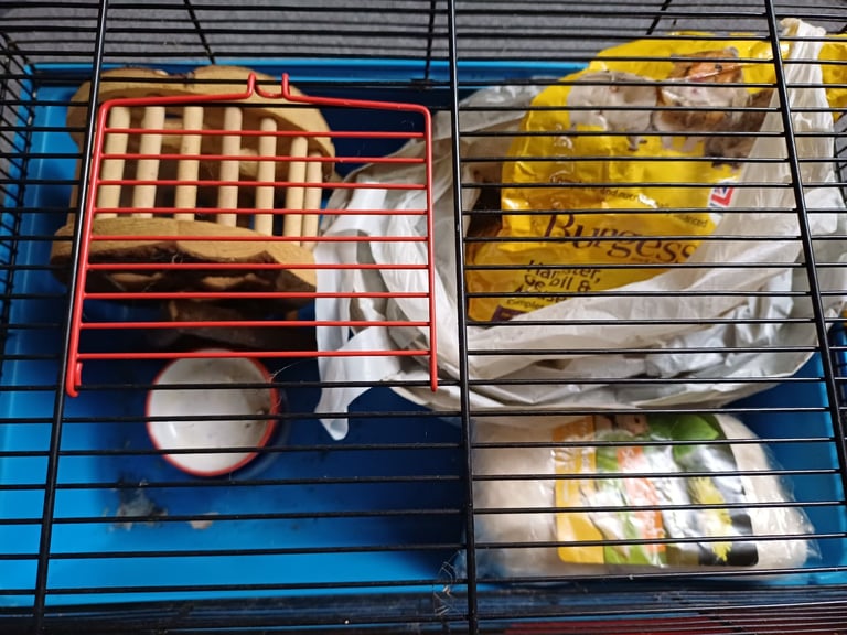 Hamster cage and accessories