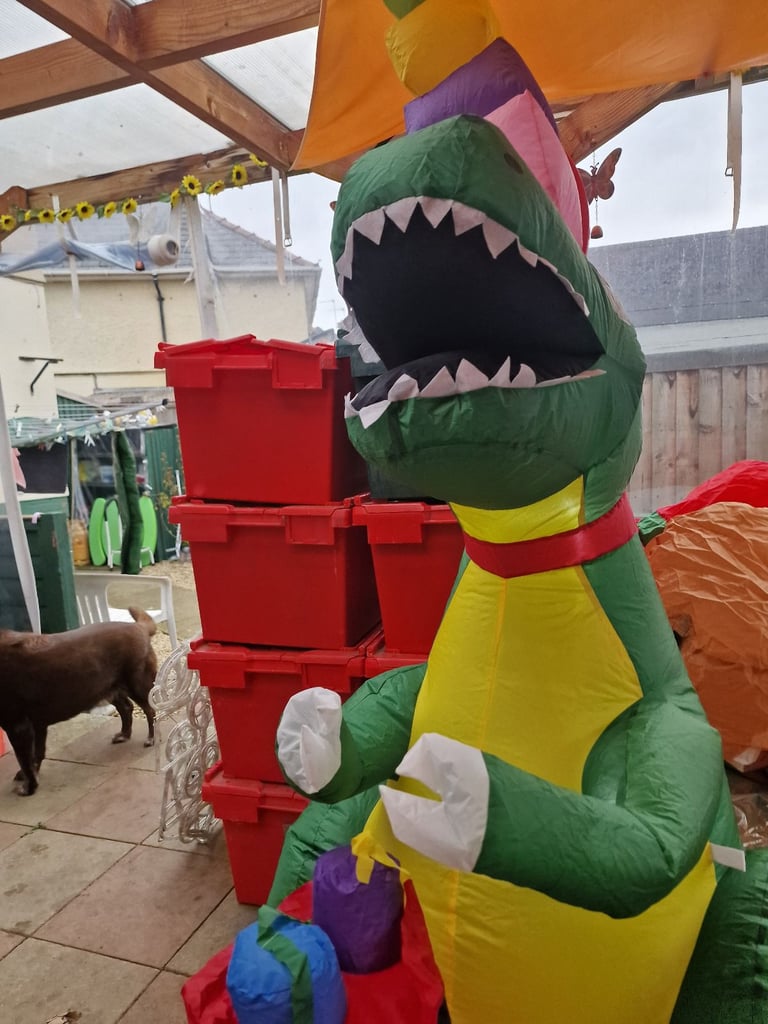 Inflatable  dinosaur  new in box 