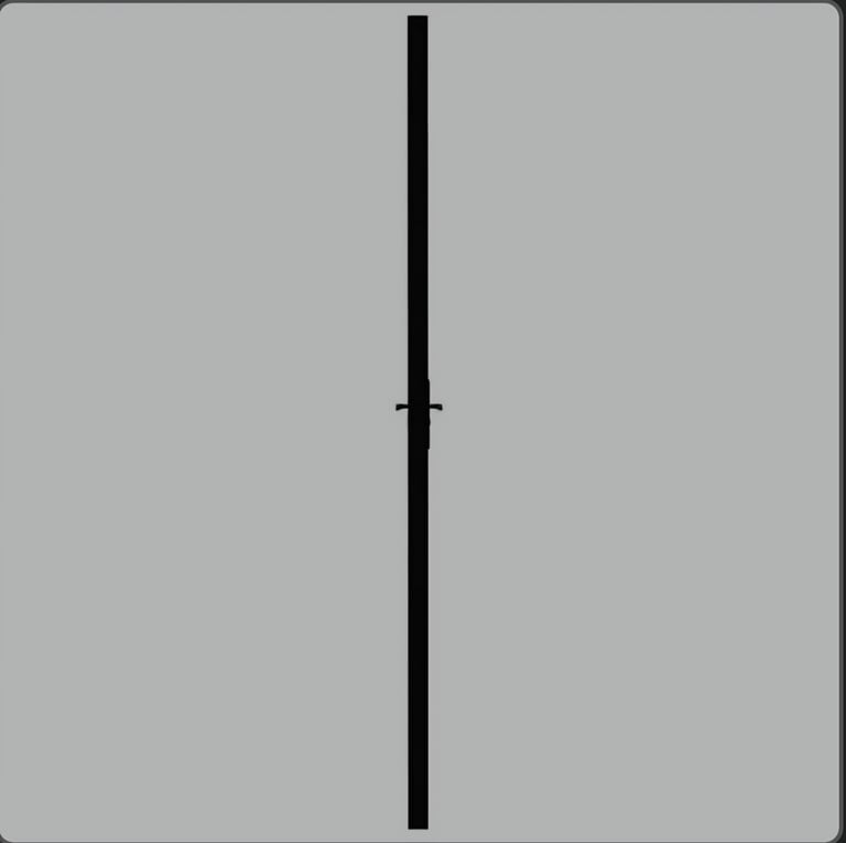 Interior Door 76x201.5 cm Black ESG Glass and Aluminium vidaXL