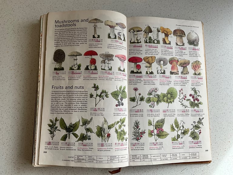 The Reader's Digest AA Book of the Road - Vintage book 1967, Maps, Flowers, Butterflies, Sea shells