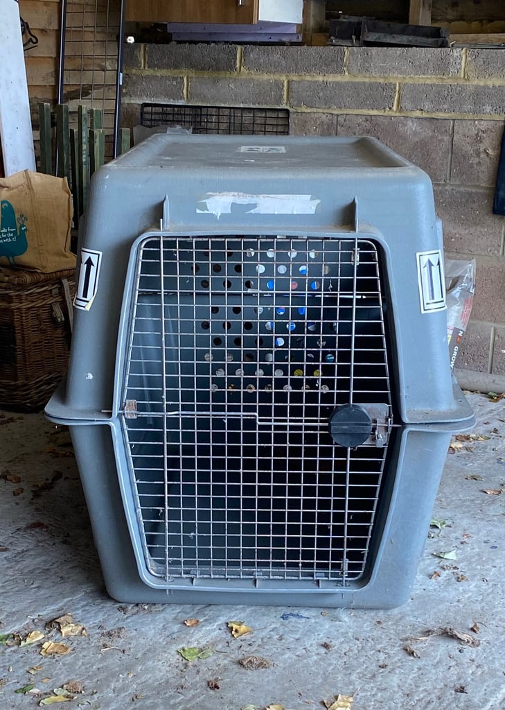 image for Large Dog travel crate 
