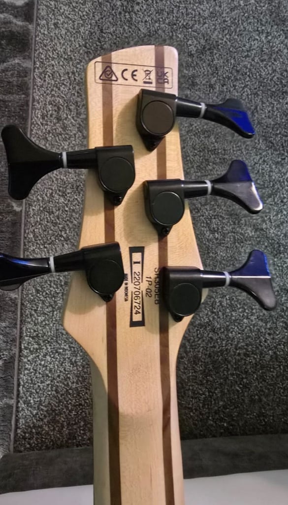 Ibanez 5 string Bass Guitar 