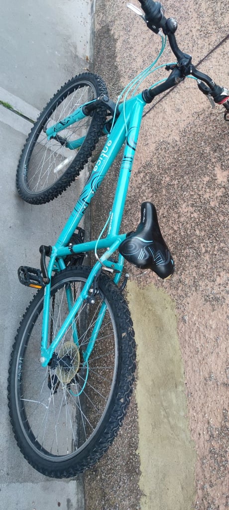 Bicycle (adult bike)