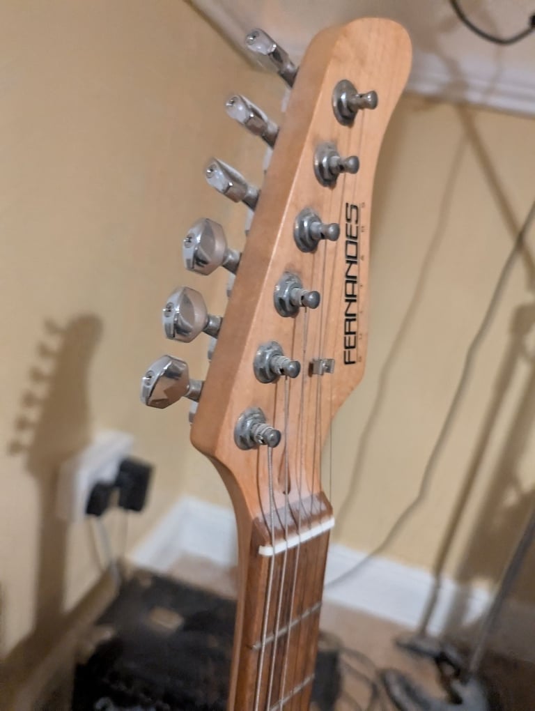 Fernandes guitar fg04022102