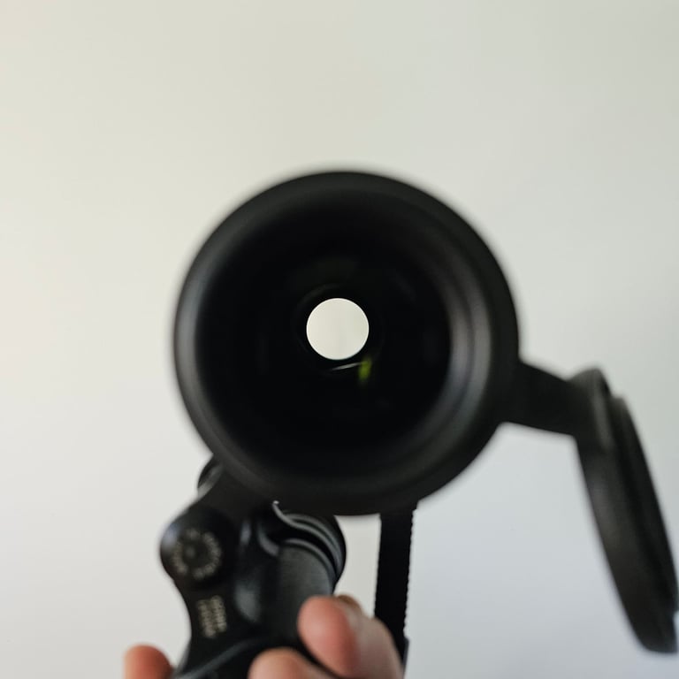 Swarovksi Binoculars 10 x 40 W 