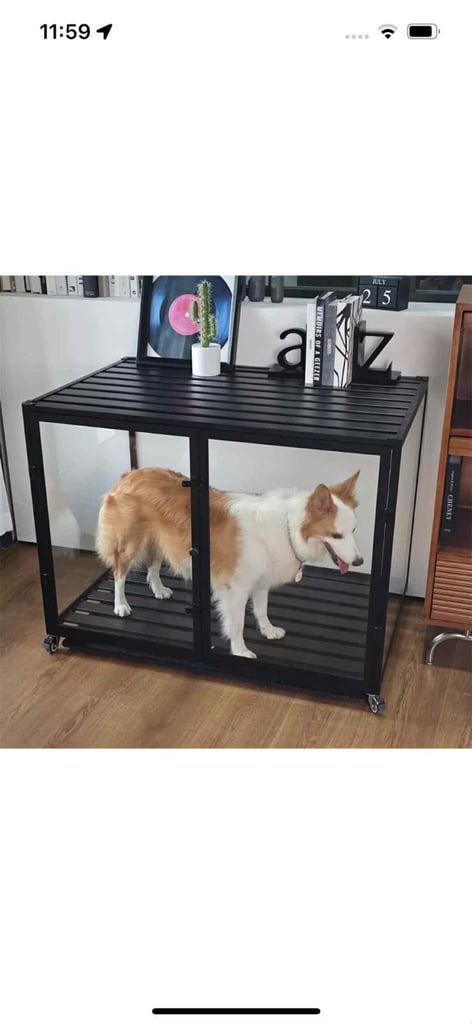 New cage