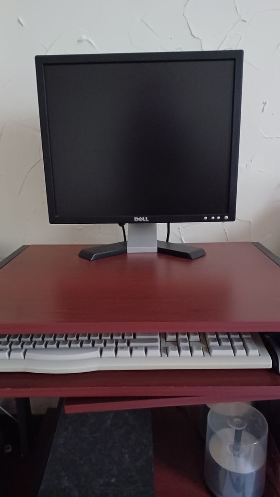 Dell Monitor