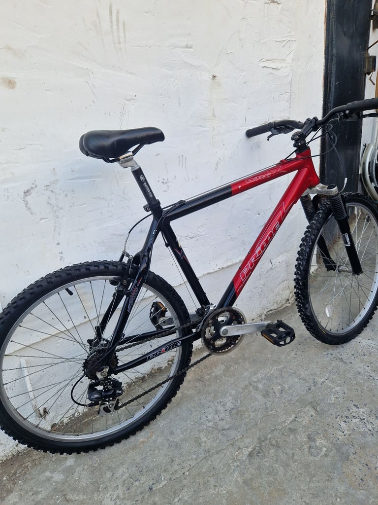 Adults bike 