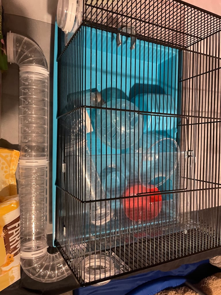 Dwarf hamster cage with accessories 