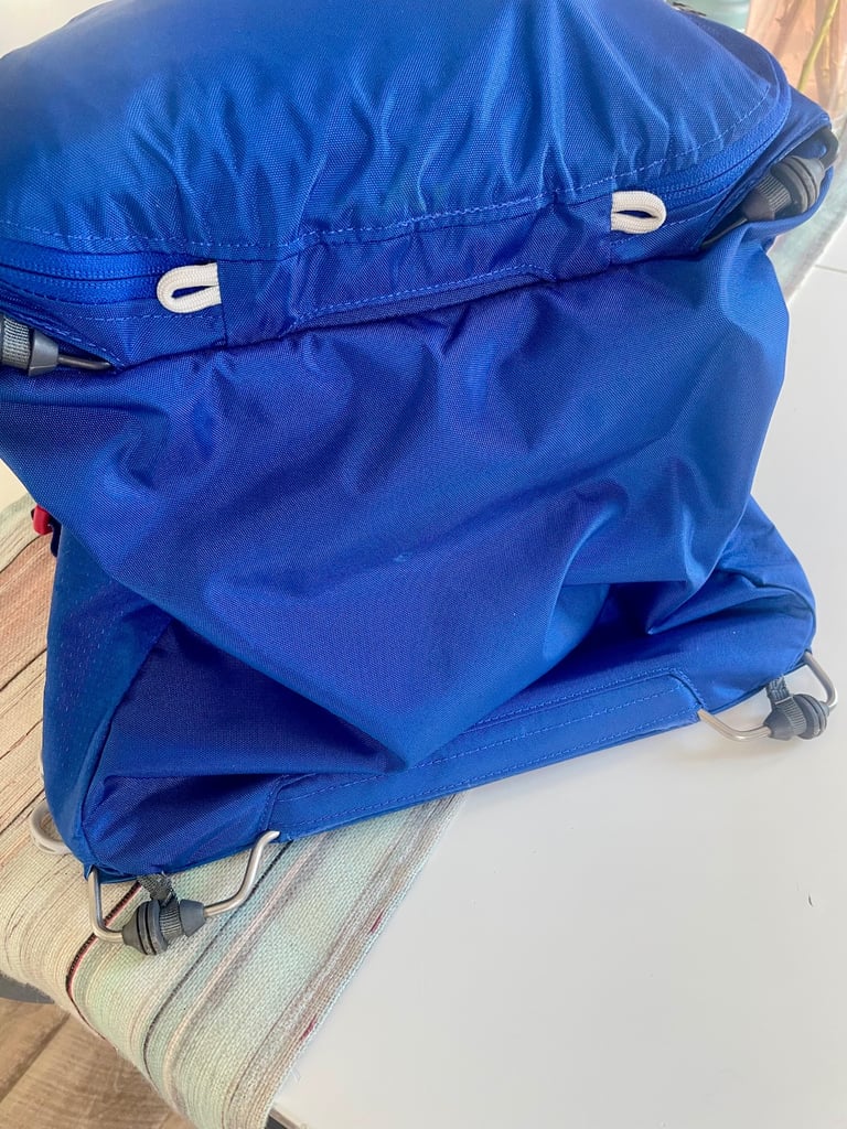 Osprey LT child carrier
