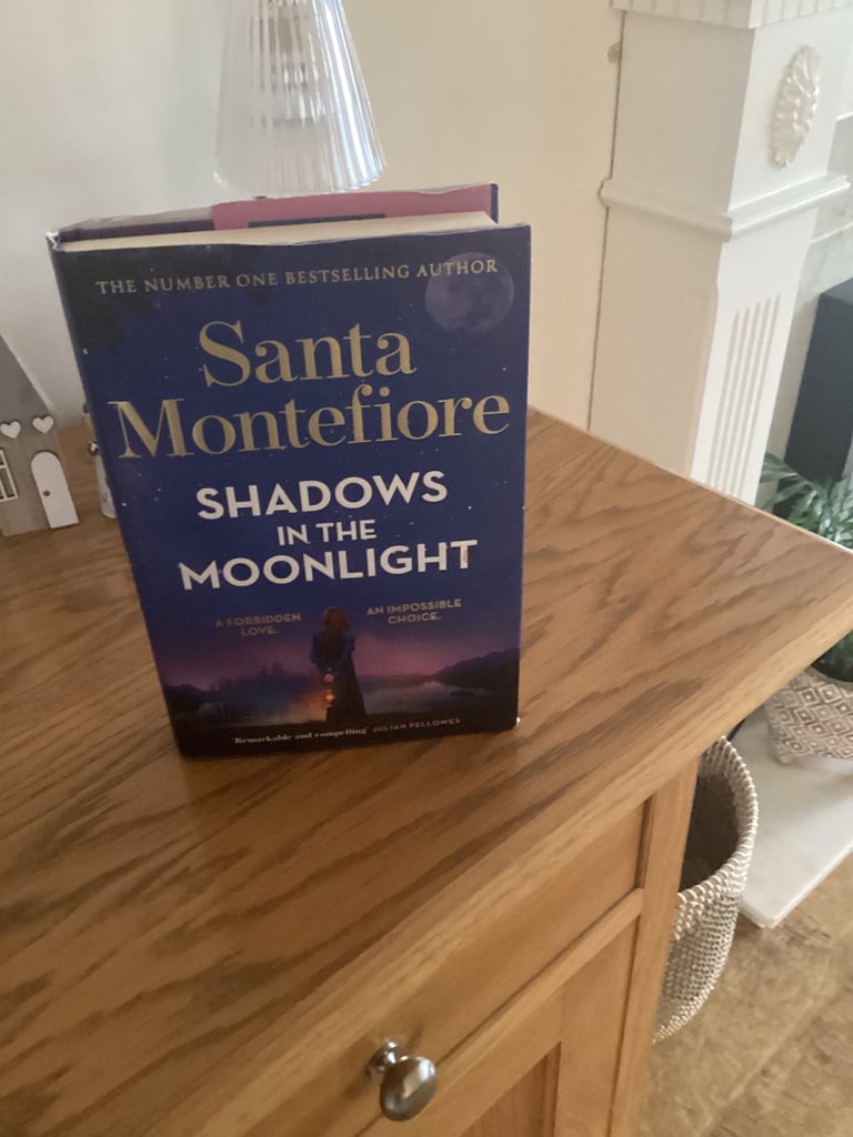 image for Santa montifoire book