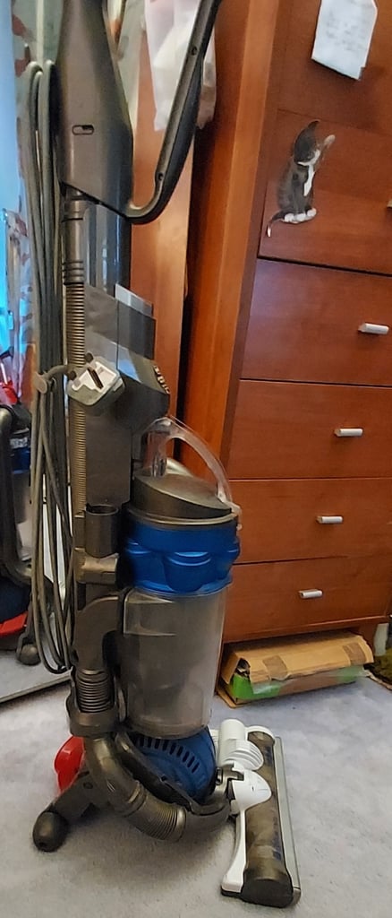 Dyson DC25 £30