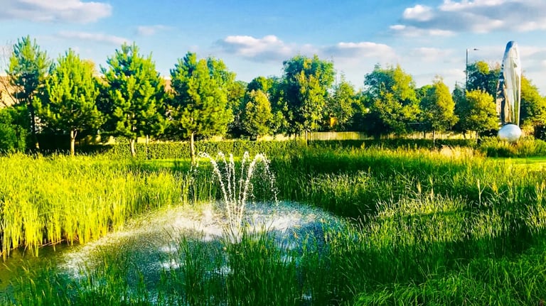 Fully Equipped Grocery Shop Available – Prime Location, Attractive Rent, Ready to Operate!