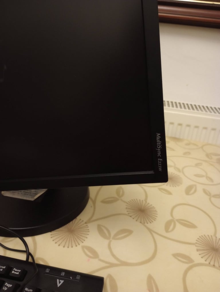 NEC MultiSync E223W Widescreen 22 inch LCD Swiveling Monitor Screen, Inputs: VGA, DVI-D, DisplayPort