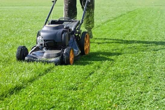 image for Grass Cutting , Gardening. DH Services Bristol