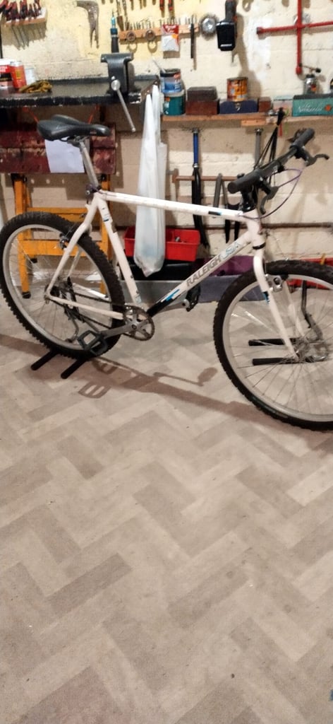 Raleigh mountain bike single speed 