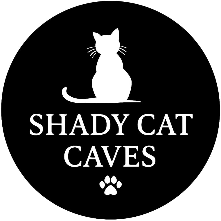 🎃 Pumpkin Patch Cat Cave