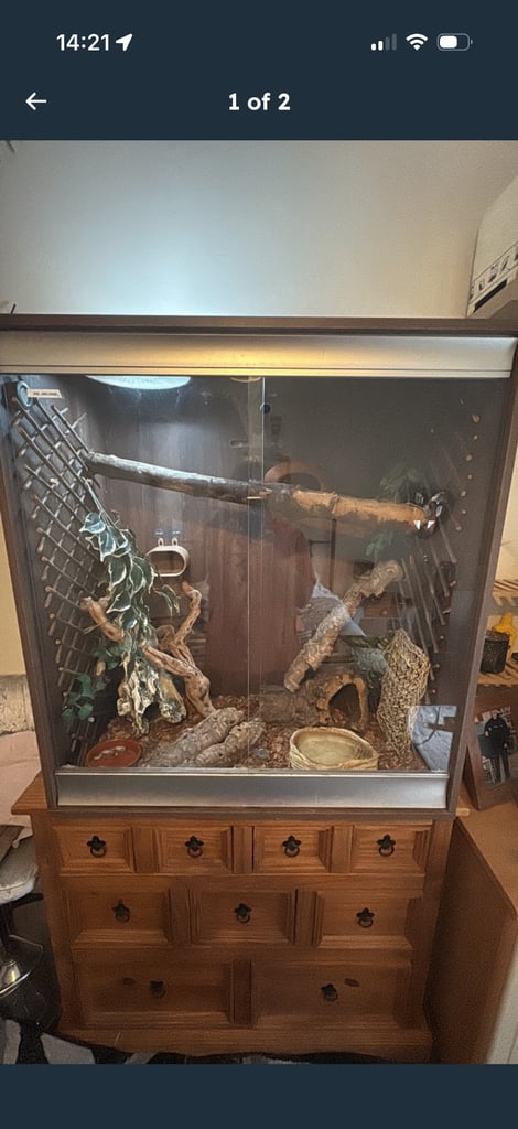 Wanted large vivarium