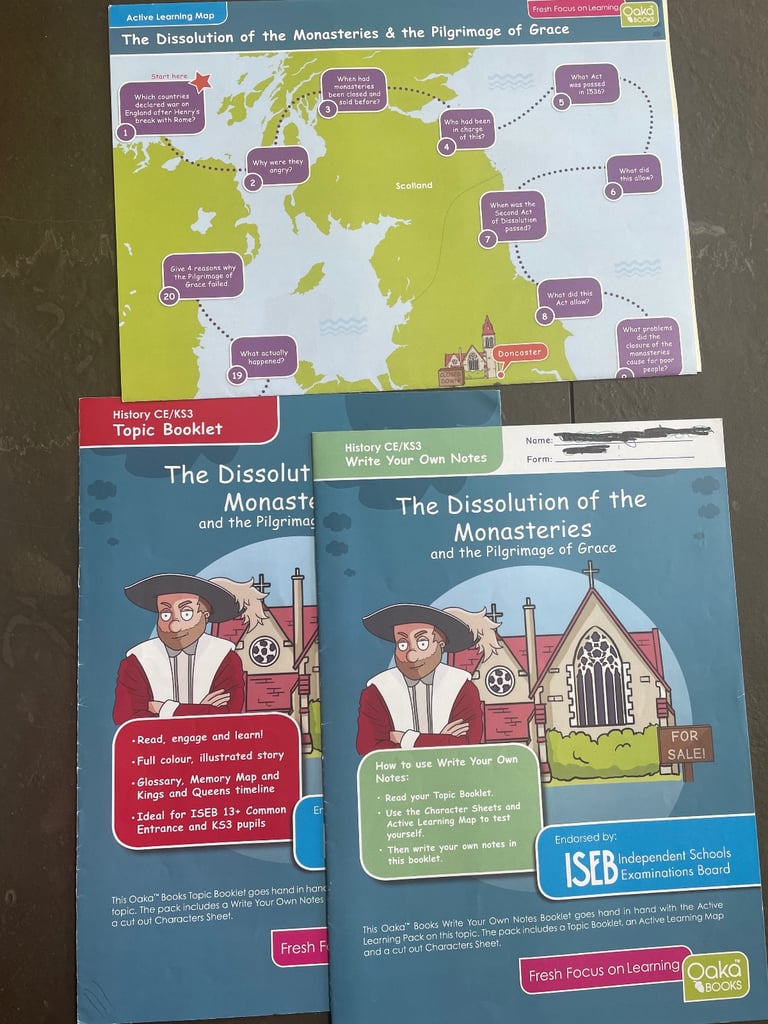 24 x Oaka Books Booklets KS3 History Bundle Common Entrance KS3 SEN - 9 Topics