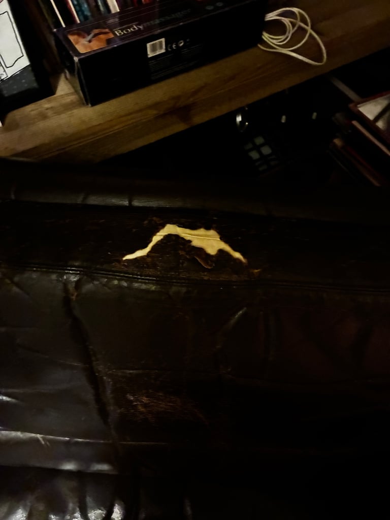 Leather (?) armchair 