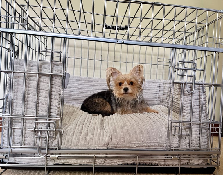 Lords £ Labradors sliding door dog crate size M with bumper and cusion