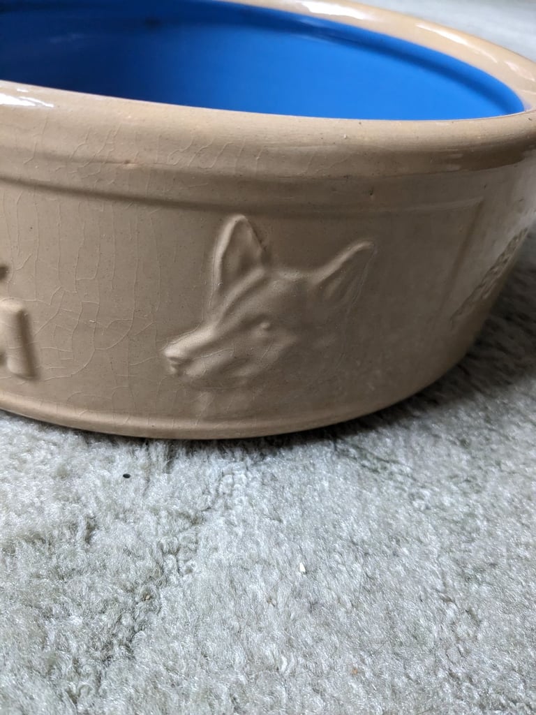 Large dog bowls x2