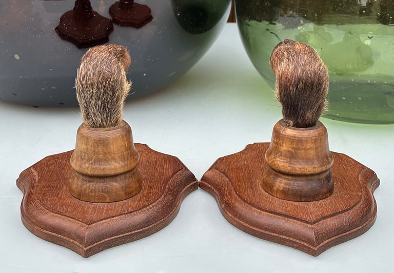 VINTAGE FRENCH TAXIDERMY WILD BOAR HOOVES COAT HOOKS, SANGLIER HOOF HUNTING RACK - WILL POST!