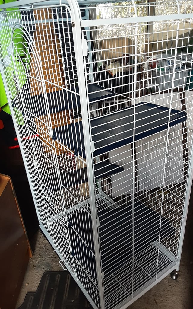 For sale a used rat cage 