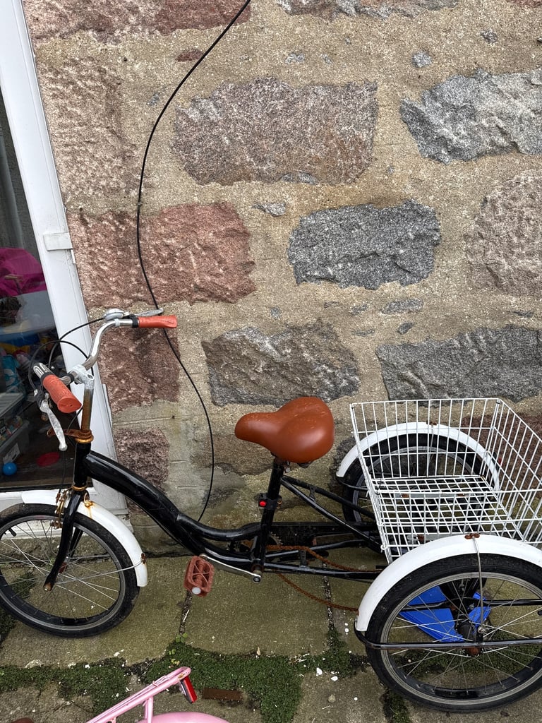 Adult-tricycles in Scotland Gumtree