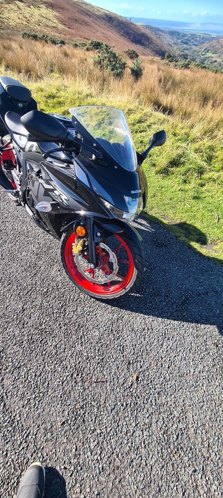 Suzuki, GSX-R, 2023, 124 (cc)
