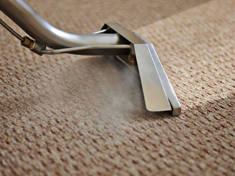 Carpet And Upholstery Cleaner Service - Pro Rated Cleaning - Quick Dry & Insured!