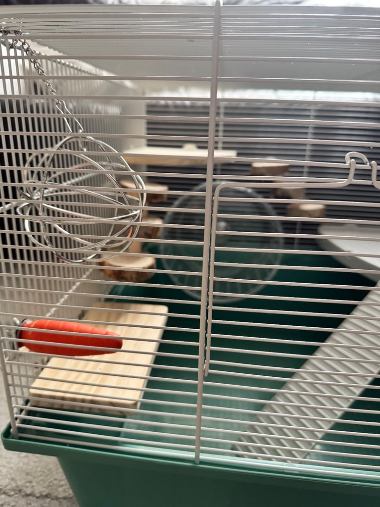 Hamster cage