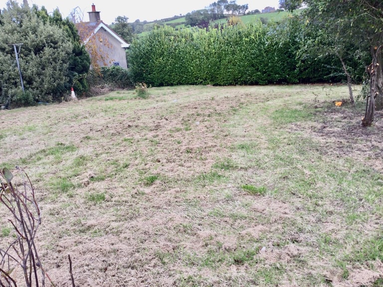 House to rent in Poyntzpass 