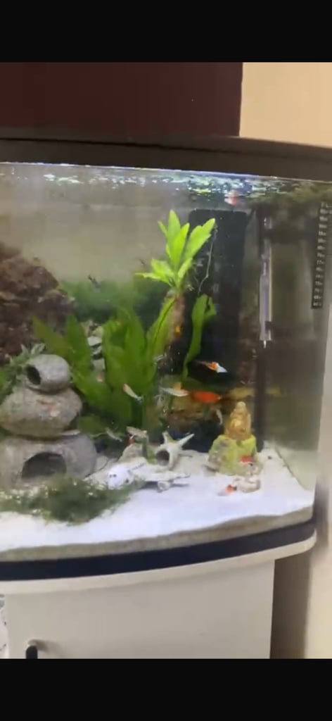 Aquarium Tank for Sale - 90-120 Liters with Equipment