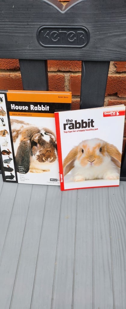 image for Rabbit books x 2